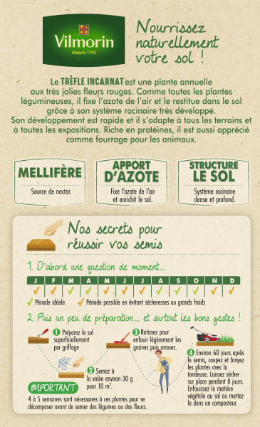 Engrais verts - Engrais vert trèfle incarnat - BIO - Grand modèle - MEDIA_PACKAGING_VERSO